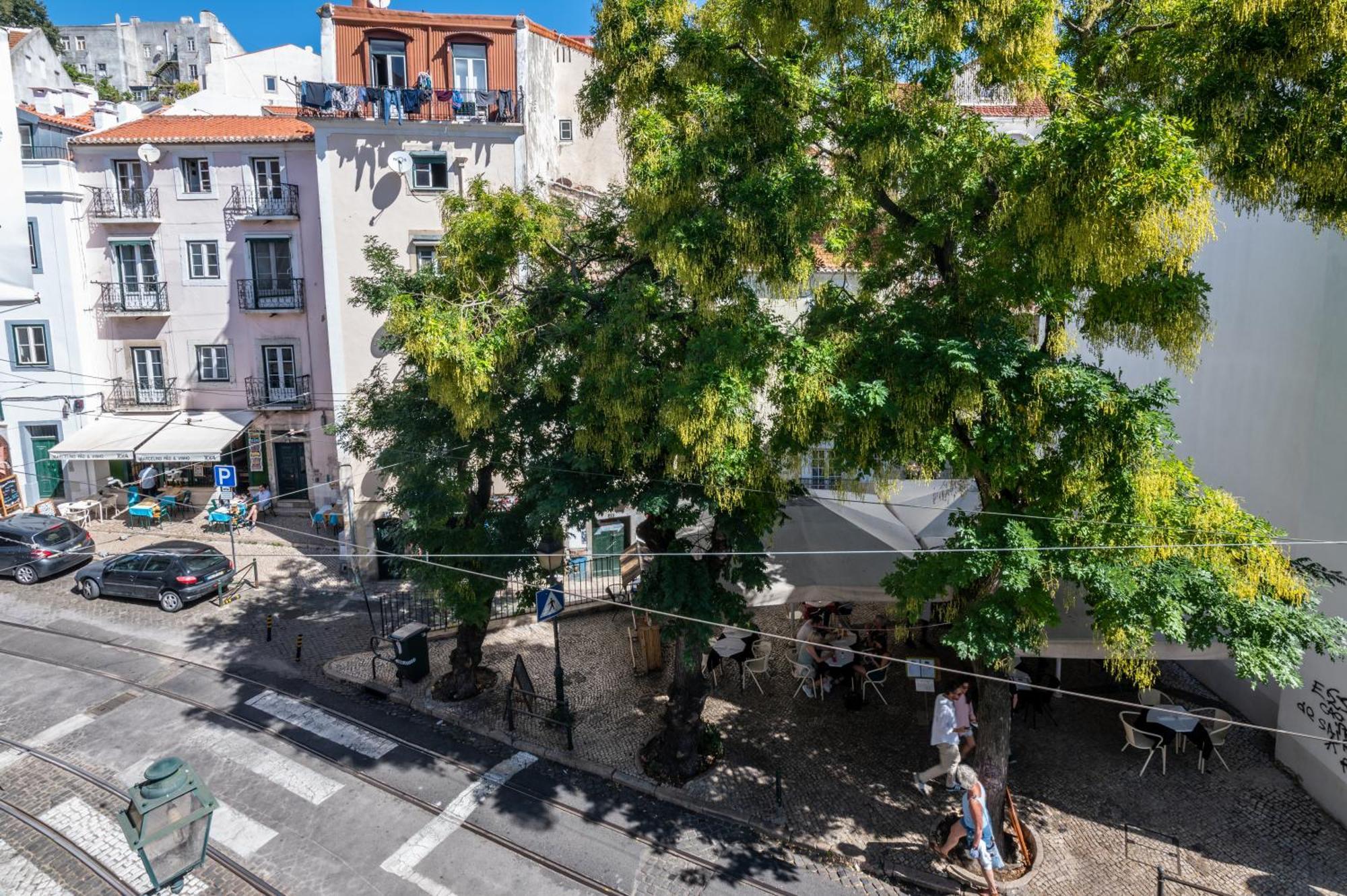 شقة Lisboa  في Portas Do Ceu الغرفة الصورة