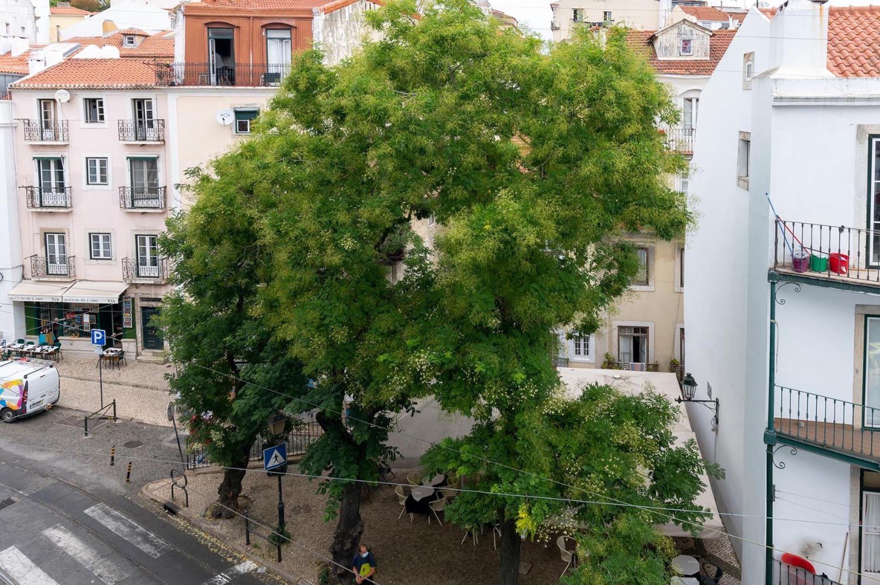 شقة Lisboa  في Portas Do Ceu الغرفة الصورة